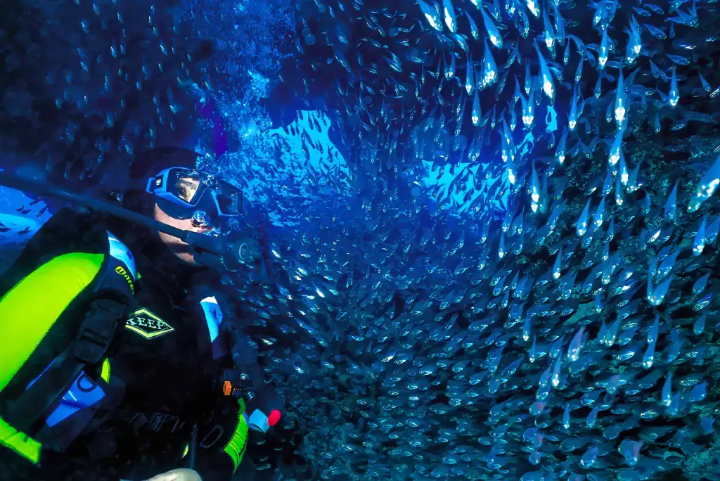 Scuba diver floating calmly in the centre of a dense swirling school of silvery fish underwater