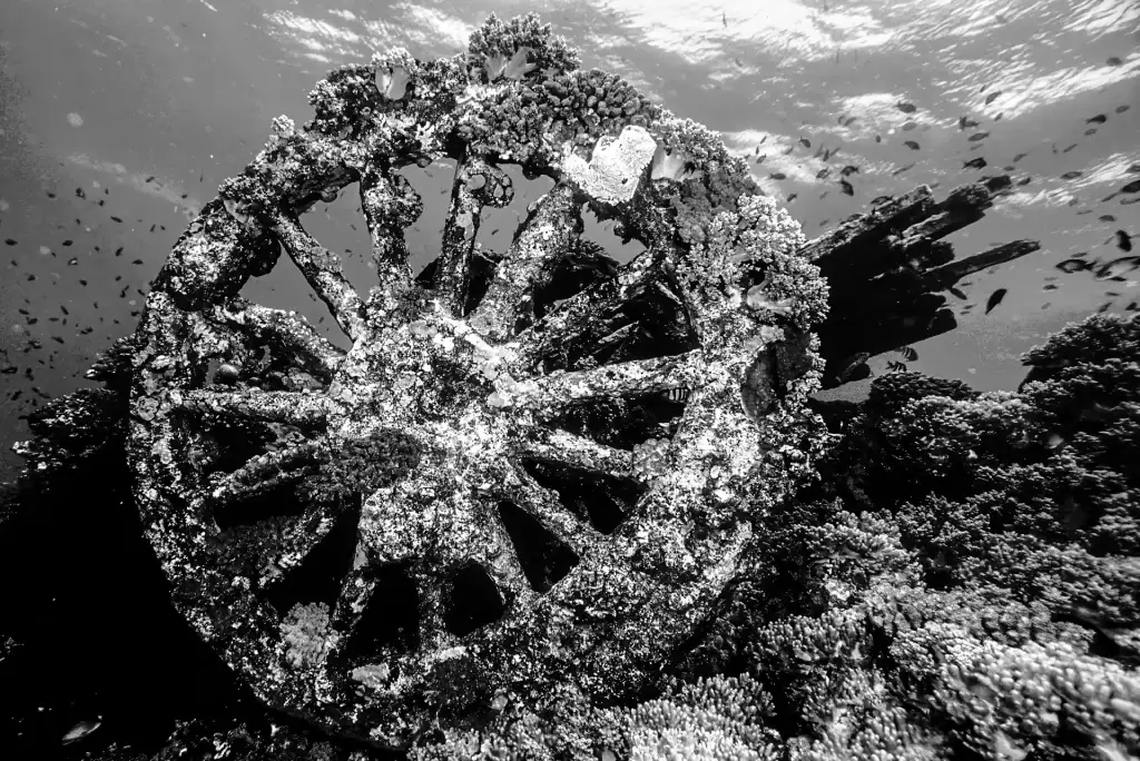 Black and white underwater image of a coral-encrusted metal wheel from a sunken shipwreck surrounded by marine life