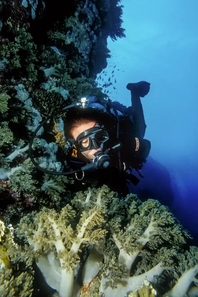 Scuba diver exploring a colourful coral reef wall covered in soft corals with clear blue water in the background