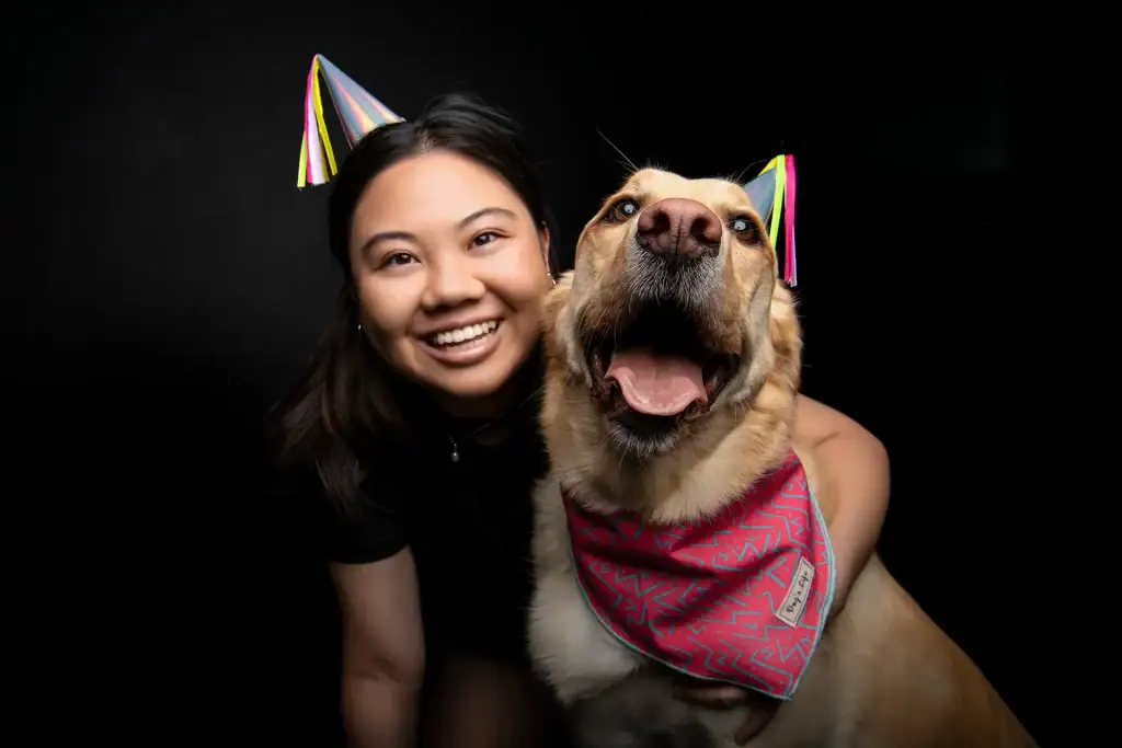 Smiling girl and excited Labrador Retriever in party hats and a pink bandana, celebrating a pet birthday against a black studio backdrop