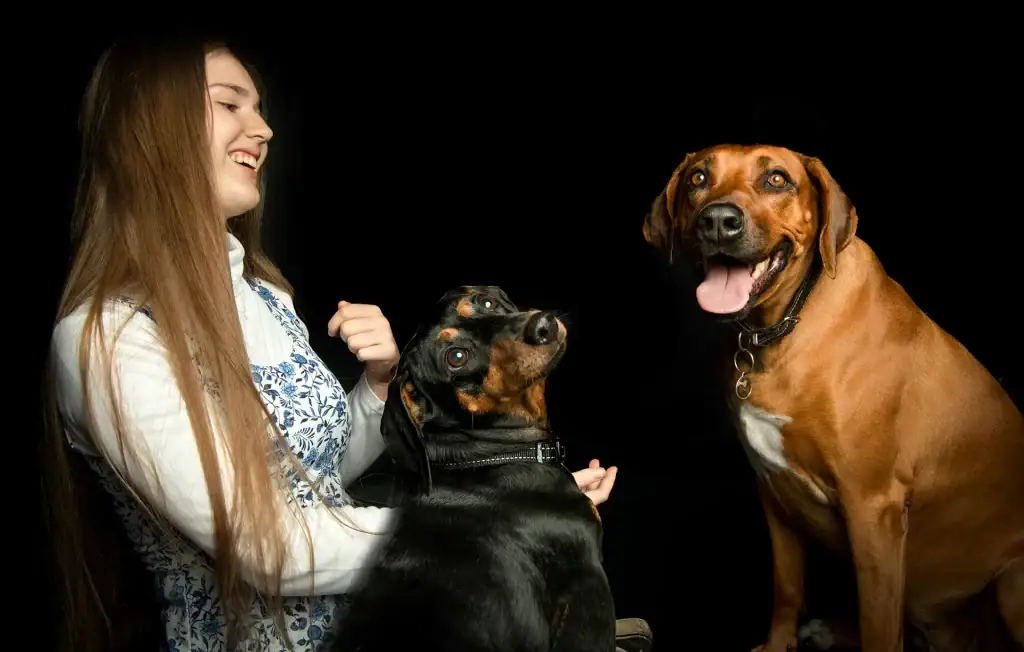 Joyful studio photo of a young woman laughing with a Dachshund looking back and a smiling Rhodesian Ridgeback against a black background