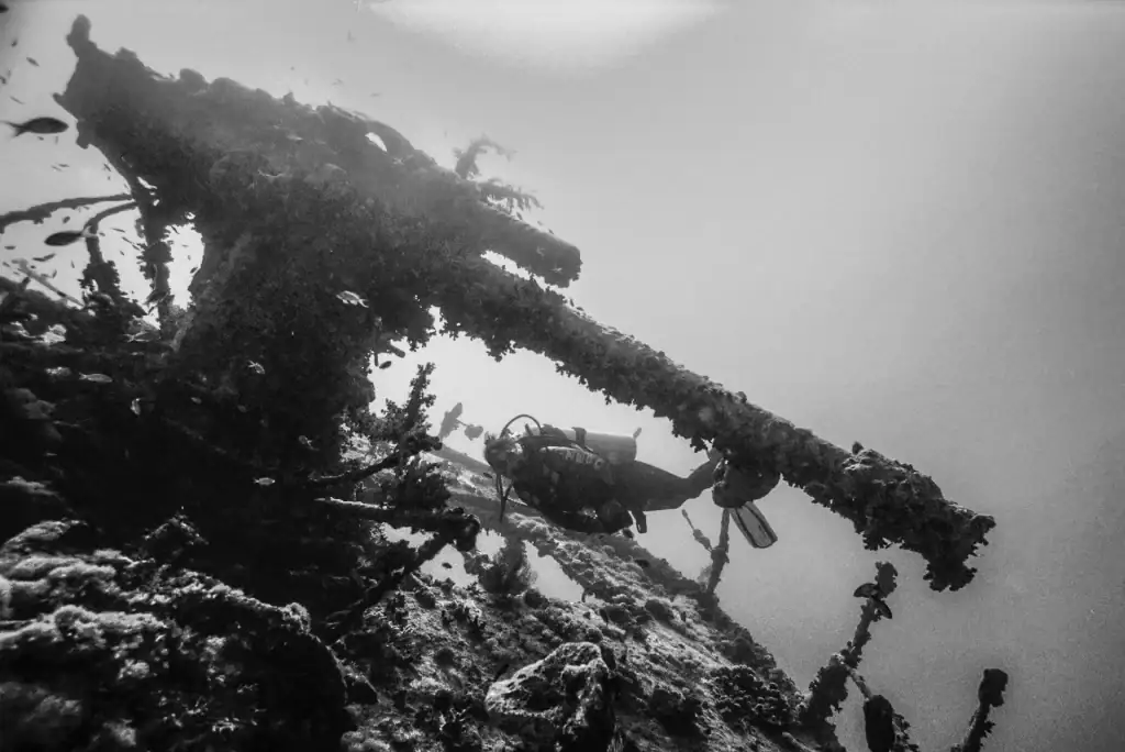 Black and white underwater photo of a scuba diver swimming past a coral-encrusted artillery gun on a sunken warship wreck